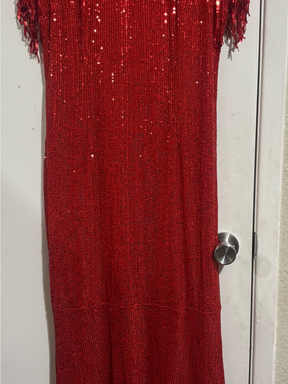 Source Unknown Red Sequin Fringe Maxi Dress